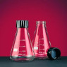 FIOLE ERLENMEYER EN VERRE PYREX AVEC BOUCHON A VIS JOINTE 10 ML PAR 10, A COMMANDER PAR 5 PAQUETS, PRIX AU PAQUET