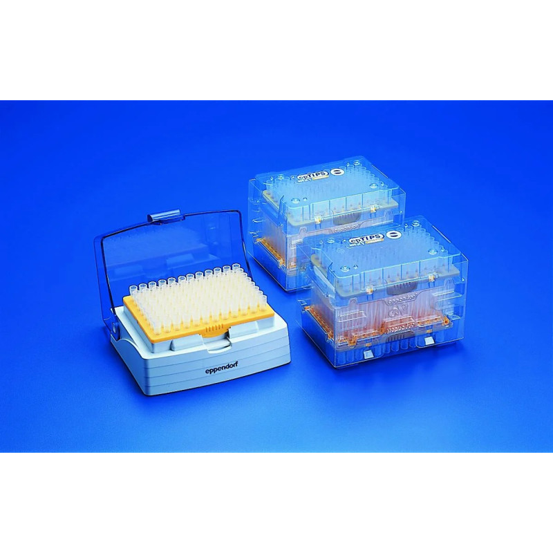 POINTE epT.I.P.S. Set KIT DE DEMARRAGE 500 - 2500 MICROLITRES ROUGE PAR 240