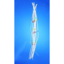 TUYAU TYGON PHARMED POUR POMPE PERISTALTIQUE DIAMETRE INT 2,79 mm COULEUR POURPRE / BLANC, 2 CAVALIERS PAR 6