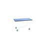 TABLE DE TRAVAIL POUR CHARGE LOURDE AVEC ROULETTES, HAUTEUR 750 mm PLAN EN MELAMINE TOPRESIST