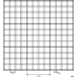 CELLULE DE NUMERATION SELON BURKER A LAMELLE
