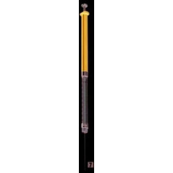 MICROSERINGUE HAMILTON SERIE 1800 GASTIGHT, RN AIGUILLE AMOVIBLE POINTE 2