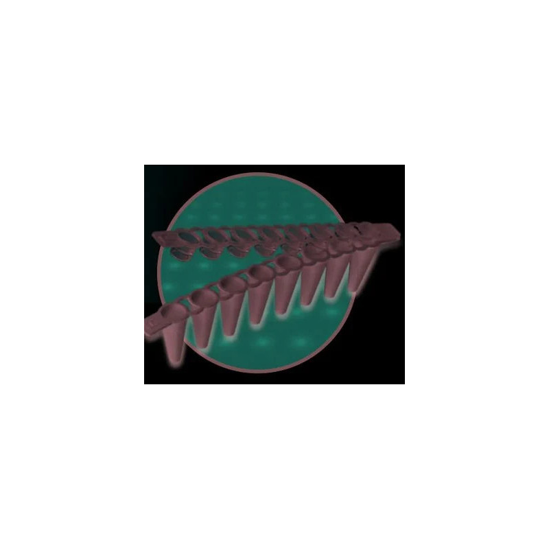 BARRETTE DE 8 MICROTUBES PCR EPPENDORF 0,2 ml INCOLORES AVEC CAPUCHON, BOITE DE 120 BARRETTES