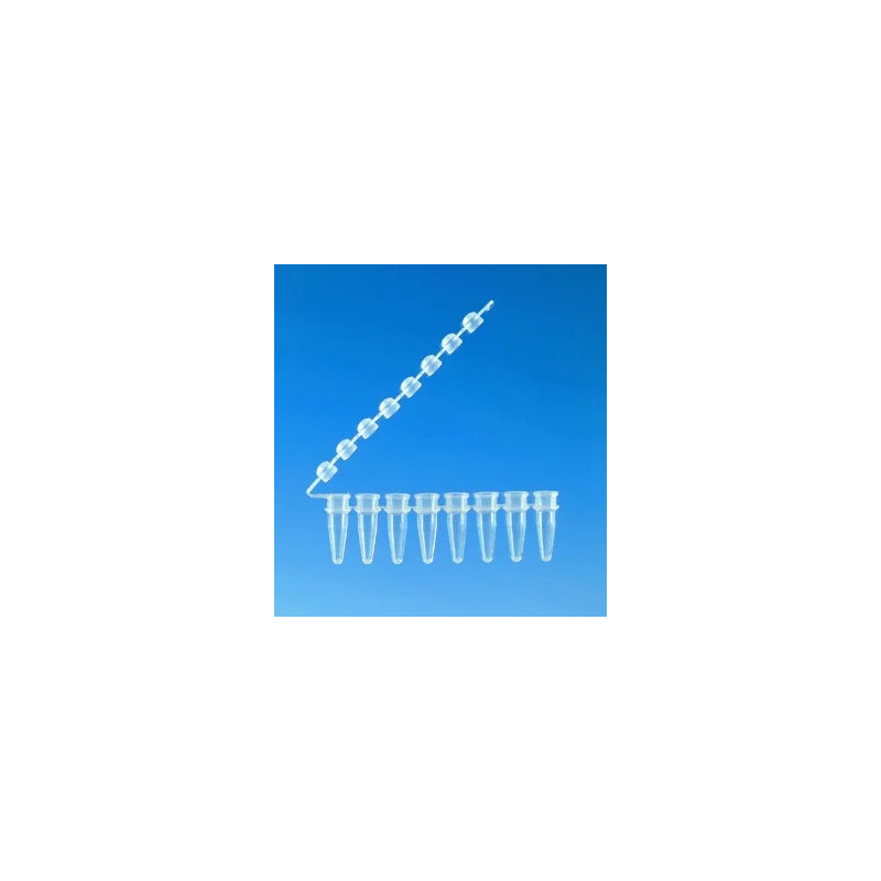 BARRETTE DE 8 MICROTUBES PCR BRAND 0,2 ml INCOLORES AVEC CAPUCHONS BOMBES ATTACHES, SACHET DE 125 BA