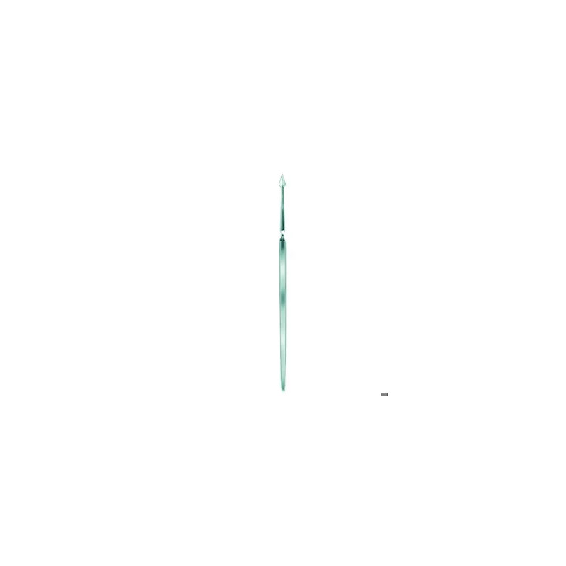 AIGUILLE DE DISSECTION MANCHE METALLIQUE POINTE LANCEOLEE