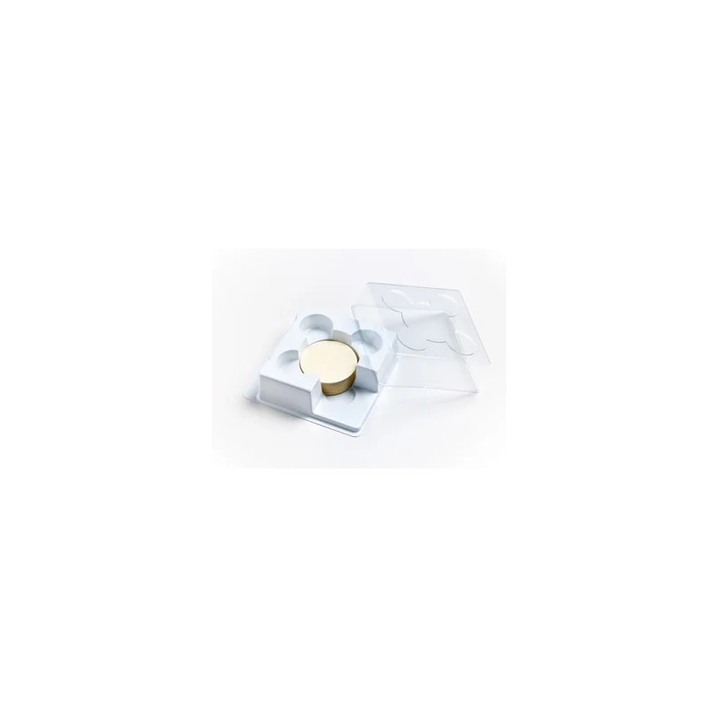 MEMBRANE EN PC HYDROPHOBE  5 µm PAR 100