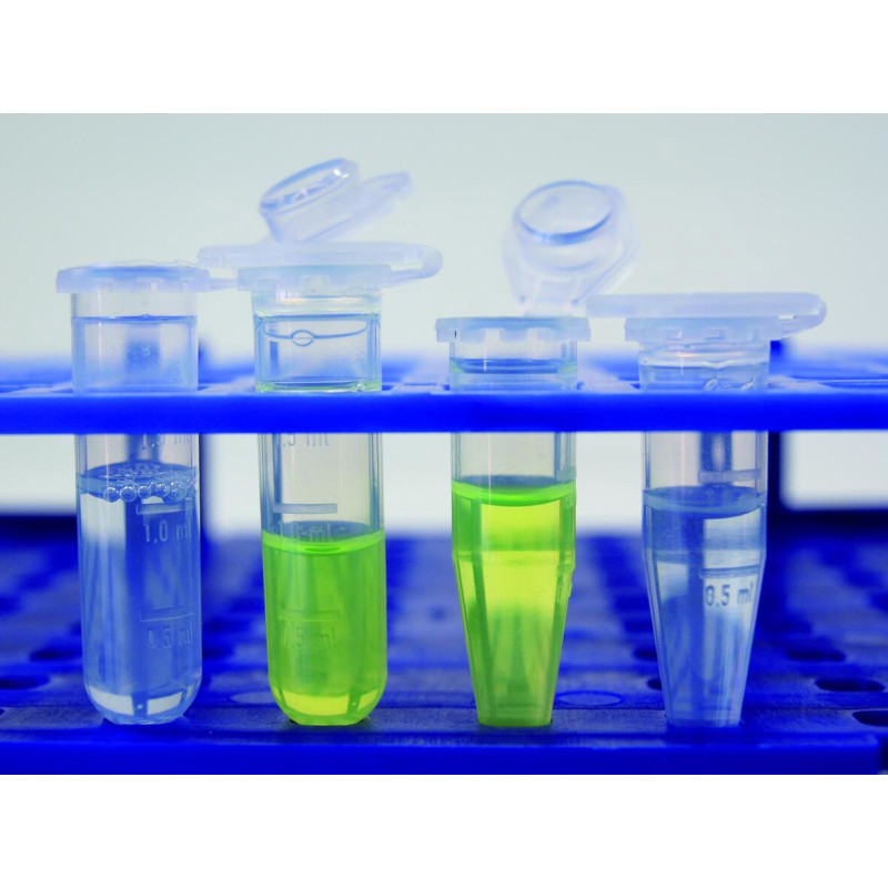 MICROTUBE LLG TRANSPARENT AVEC CAPUCHON PAR 1000