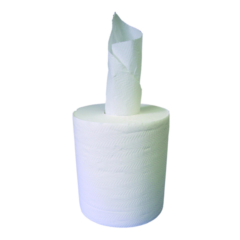 PAPIER ESSUIE TOUT, ROULEAU DE 500 FEUILLES 230 x 217 mm PAR 6 ROULEAUX