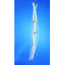 TUYAU TYGON LMT-55 (R3603/3607) POUR POMPE PERISTALTIQUE DIAMETRE INT 0,89 mm COULEUR ORANGE / ORANGE, 2 CAVALIERS PAR 12