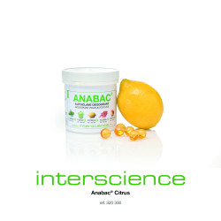 DESODORISANT FORME BILLE ANABAC, PARFUM POUR AUTOCLAVE PAR 100
