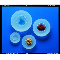 VERRE DE MONTRE EN POLYPROPYLENE DIAMETRE 60 mm