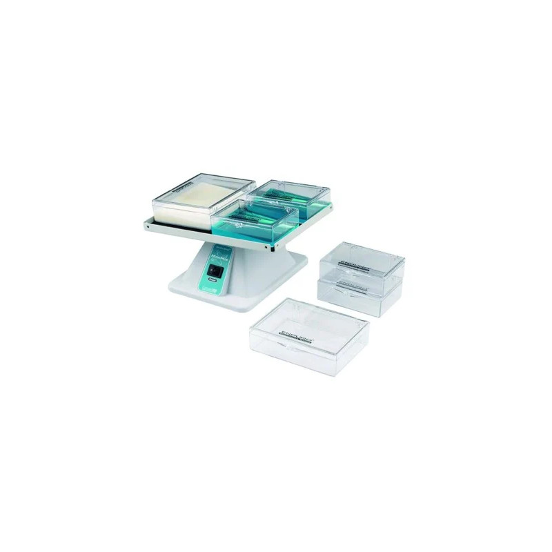 AGITATEUR BASCULANT TRIDIMENSIONNEL LABNET ENDURO MINIMIX, ANGLE FIXE 5°